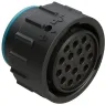 AHDP06-24-16SR-SRA Amphenol Other Circular Connectors