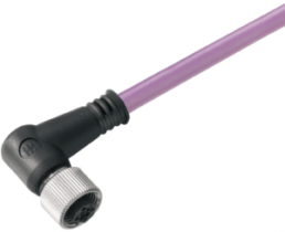 Bus line, M12 socket, angled to open end, PUR, 3 m, purple