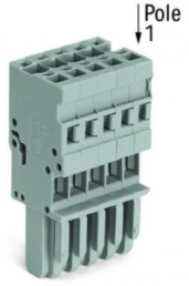 1-wire female connector, 5 pole, pitch 5 mm, 0.08-4.0 mm², AWG 28-12, straight, 32 A, 500 V, spring-cage connection, 769-105