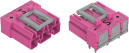 Plug, 3 pole, spring-clamp connection, pink, 770-893/011-000/082-000