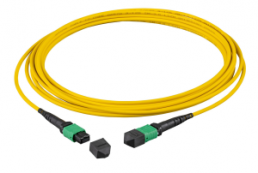 FO patch cable, 2 x MTP-F to 2 x MTP-F, 15 m, OS2, singlemode 9/125 µm