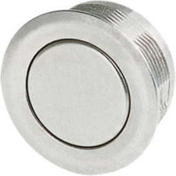 Pushbutton, 1 pole, silver, unlit , 0.125 A/48 V, mounting Ø 19 mm, IP67, 1241.2820