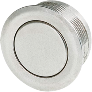 Pushbutton, 1 pole, silver, unlit , 0.125 A/48 V, mounting Ø 19 mm, IP67, 1241.2801