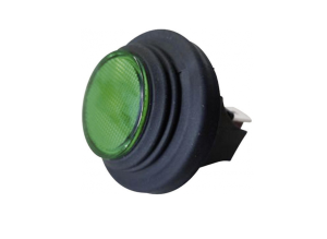 Pressure switch, 2 pole, green, illuminated , 16 A/250 V, mounting Ø 25 mm, IP65, 3656-250.22