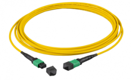 FO patch cable, MTP-F to MTP-F, 0.5 m, OM3