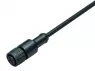 77 3420 0000 50004 0500 binder Sensor-Actuator Cables