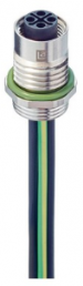Socket, M12, 4 pole, Coupling nut, straight, 934980603