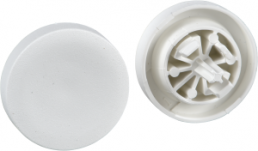 Cap for pushbutton, ZBL1