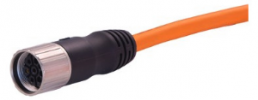 Sensor actuator cable, M23-cable plug, straight to open end, 8 pole, 5 m, PUR, orange, 40 A, 21373800G78050