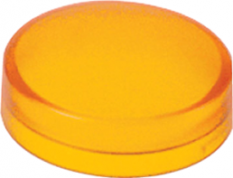 Cap for pushbutton, ZBW915