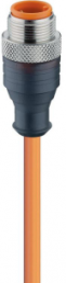 Sensor actuator cable, M12-cable plug, straight to open end, 4 pole, 10 m, PVC, orange, 4 A, 11803