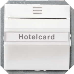 DELTA i-system hotel card switch illuminated withwindow and labeling field, ...