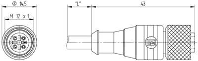 15738 Lumberg Automation Sensor-Actuator Cables Image 2