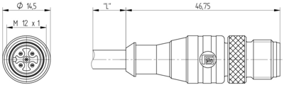 15829 Lumberg Automation Sensor-Actuator Cables Image 2
