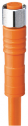 Sensor actuator cable, M8-cable socket, straight to open end, 4 pole, 2 m, PVC, orange, 4 A, 934772006