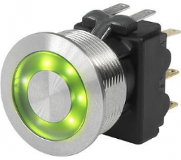 Pushbutton switch, 2 pole, silver, illuminated  (green), 12 A/250 V, mounting Ø 19.1 mm, IP65, 1241.6824.1122000