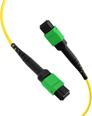 MTPF24MTPFOS2-15-A EFB-Elektronik Fiber Optic Patch Cables, Pigtails Image 3