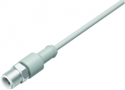 Sensor actuator cable, M12-cable plug, straight to open end, 12 pole, 2 m, PVC, gray, 1.5 A, 77 3729 0000 20912-0200