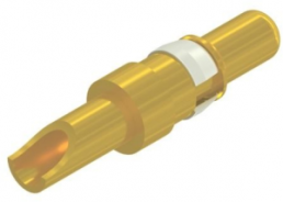 Pin contact, AWG 14-12, solder connection, gold-plated, 131C10029X