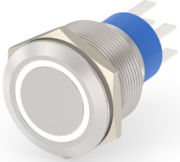 Switch, 2 pole, silver, illuminated  (white), 5 A/250 VAC, mounting Ø 22.2 mm, IP67, 6-2213772-3