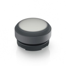 Pushbutton, illuminable, groping, waistband round, white, front ring black, mounting Ø 29.8 mm, 1.30.270.005/2201