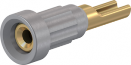 1 mm socket, solder connection, mounting Ø 2.7 mm, gray, 23.1010-28