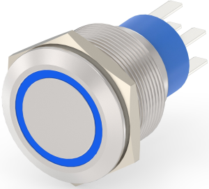 Pushbutton switch, 2 pole, silver, illuminated  (blue), 5 A/250 V, mounting Ø 22.2 mm, IP67, 7-2213772-7