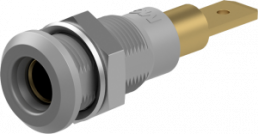 4 mm socket, plug-in connection, mounting Ø 8.1 mm, gray, 64.3040-28