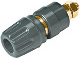 Pole terminal, 4 mm, gray, 30 VAC/60 VDC, 35 A, screw connection, gold-plated, PKI 10 A GR AU