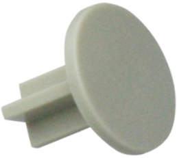 Extension plunger, round, Ø 10 mm, (L x H) 8.75 x 10 mm, white, for single pushbutton, 5.46.011.038/0710