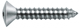 Sheet metal screw 2,9 x 19, DIN 7983 / galvanized