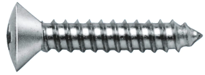 Sheet metal screw 2,9 x 19, DIN 7983 / galvanized