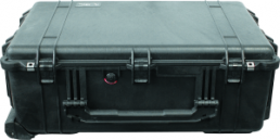 Protective case, divider insert, (L x W x D) 725 x 445 x 270 mm, 12.73 kg, 1650 WITH DIVIDER