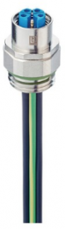 Socket, M12, 5 pole, Coupling nut, straight, 934980501