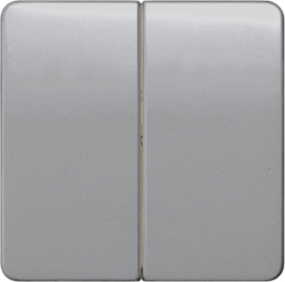 DELTA profil rocker double neutral for two-circuitswitch, silver