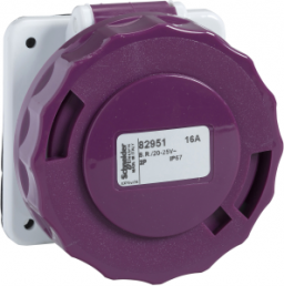 CEE surface-mounted socket, 2 pole, 16 A/20-25 V, purple, IP67, 82951