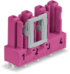 Socket, 4 pole, spring-clamp connection, pink, 770-884
