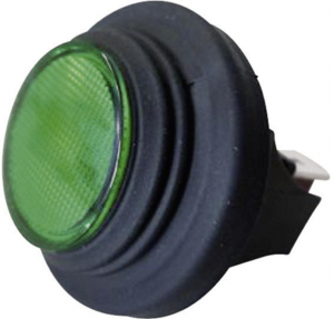Pushbutton switch, 2 pole, black, illuminated  (green), 16 A/250 V, mounting Ø 25 mm, IP65, 3656-250.22