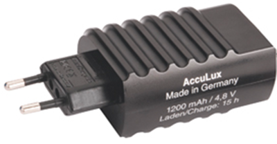 422865 AccuLux Torches