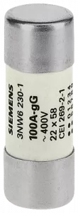 3NW6217-1 Siemens Micro Fuses