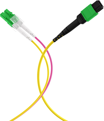 MTPF12LCAPC-10 EFB-Elektronik Fiber Optic Patch Cables, Pigtails Image 5