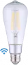 SHELLY ST64 Shelly Light Bulbs, Lamps