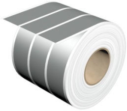 Polyester Label, (L x W) 30 m x 24 mm, silver, Roll with 30 pcs