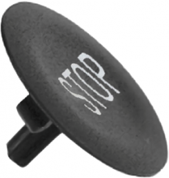 Cap for pushbutton, ZBA234