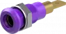 4 mm socket, plug-in connection, mounting Ø 8.1 mm, purple, 64.3040-26