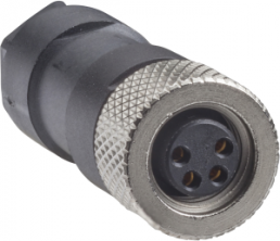 Female, M8, 4-pin, straight connector - cable gland M9.5 x 1
