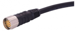 Sensor actuator cable, M23-cable plug, straight to open end, 17 pole, 10 m, PUR, black, 9 A, 21373300F72100