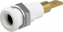 4 mm socket, plug-in connection, mounting Ø 8.1 mm, white, 64.3040-29