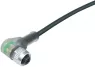 77 3634 0000 50004-0200 binder Sensor-Actuator Cables