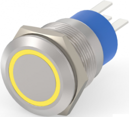 Pushbutton, 1 pole, silver, illuminated  (yellow), 5 A/250 V, mounting Ø 19.2 mm, IP67, 1-2213764-1